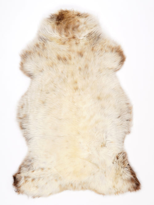 NR00096