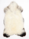 MC00088