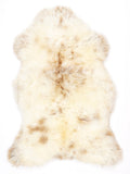 NK00028