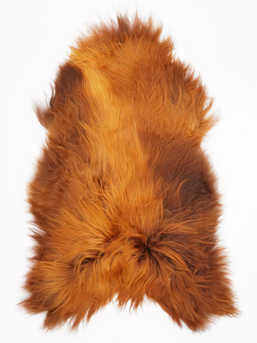 OX00036