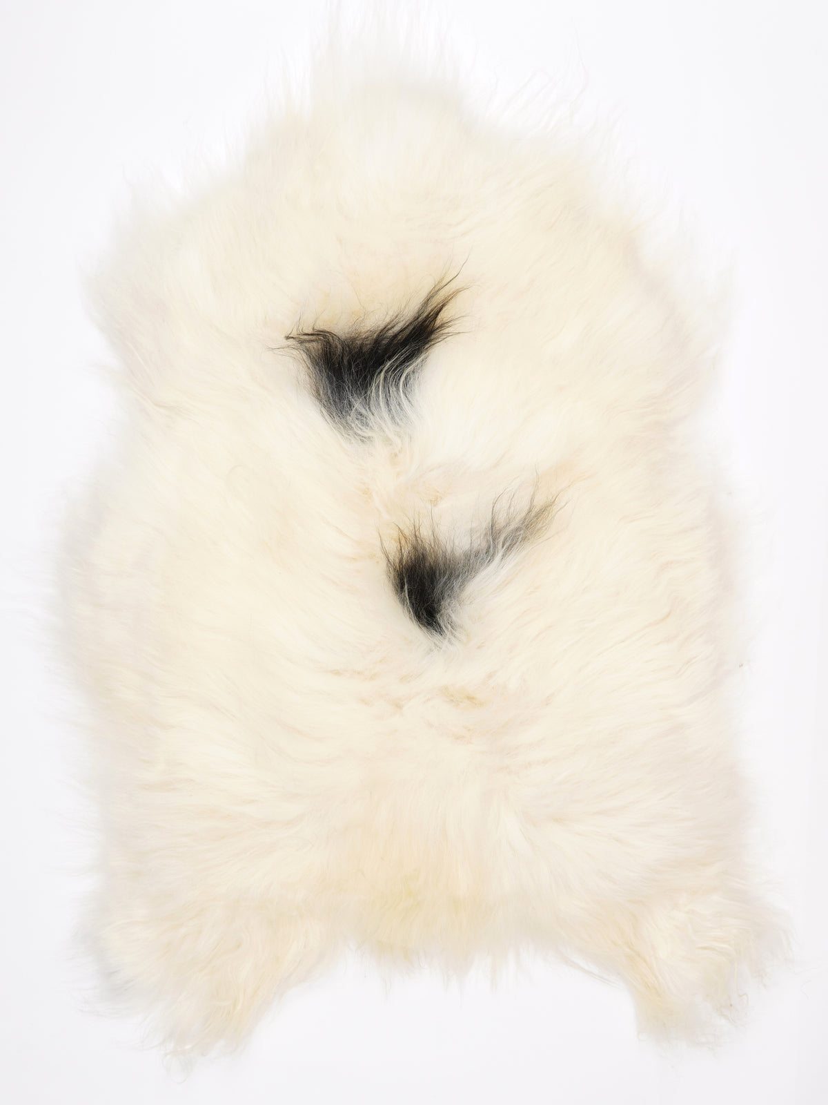 MW00019