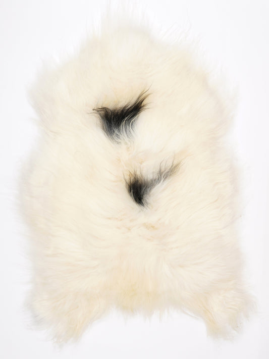 MW00019