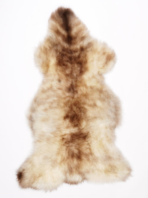 MM00012