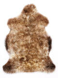 MQ00031