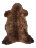 MN00081
