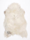 MT00095