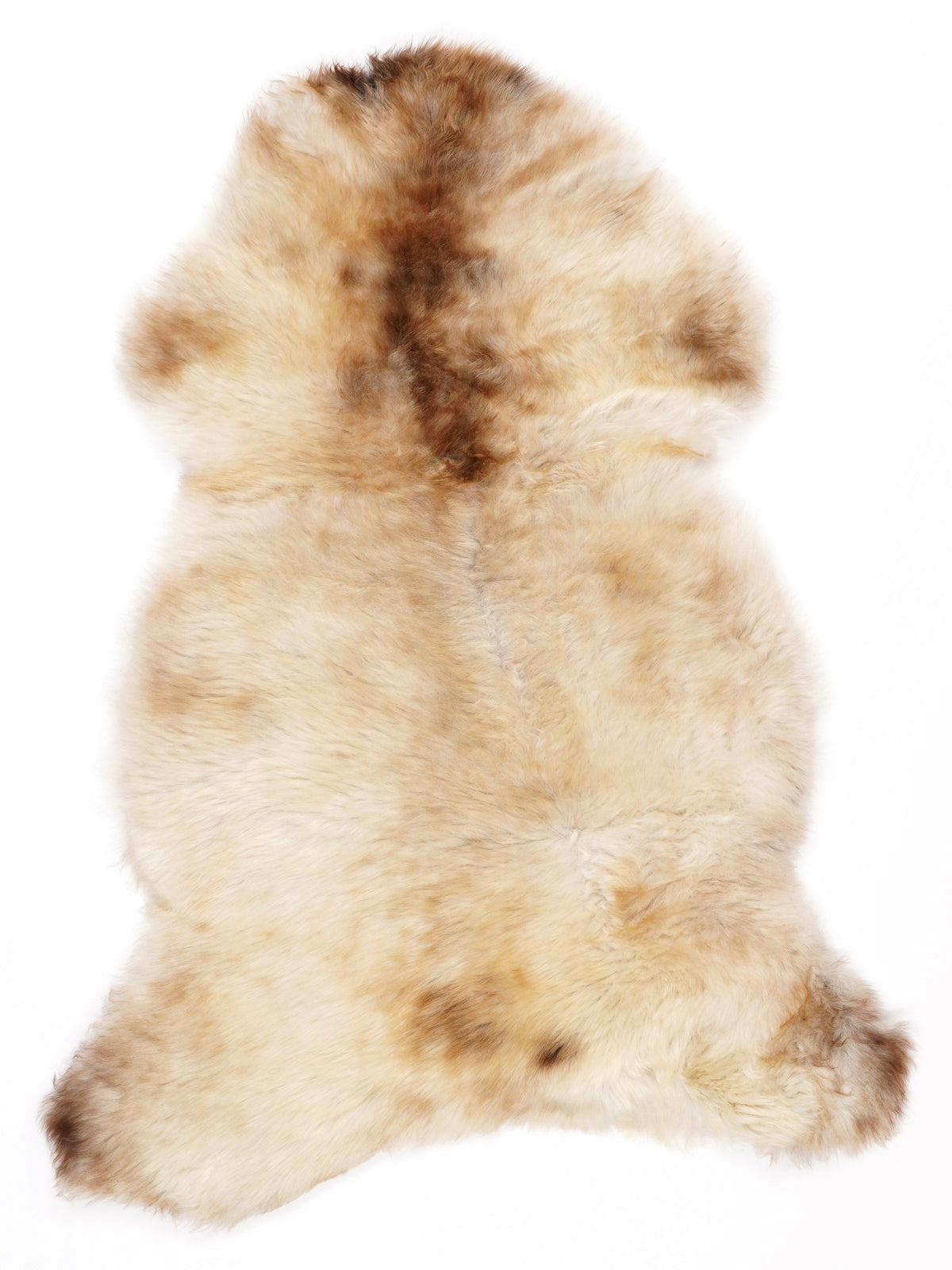 NG00023