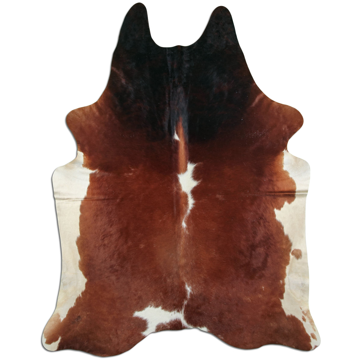 Peau de vache marron et blanche XXL