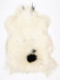 NK00081