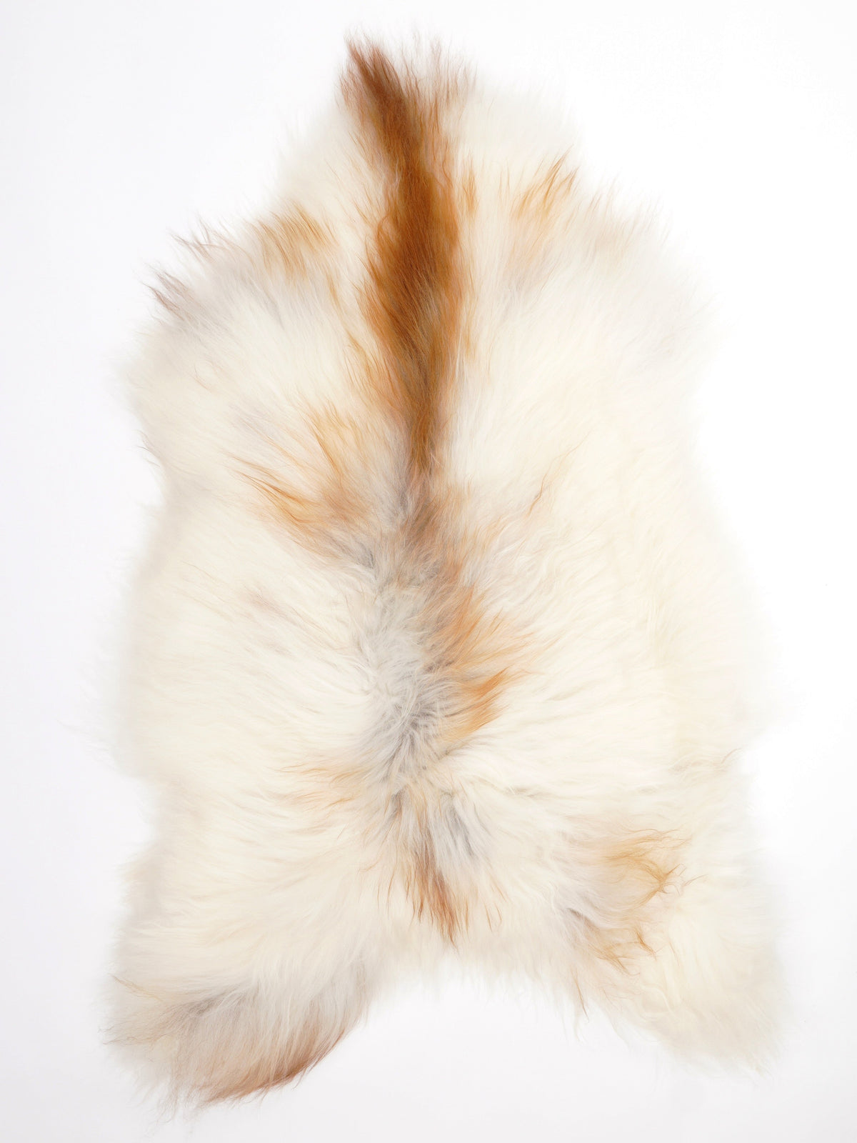 Peau de mouton islandaise XL