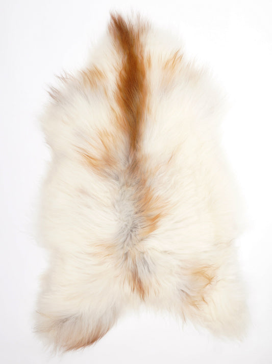 Peau de mouton islandaise XL