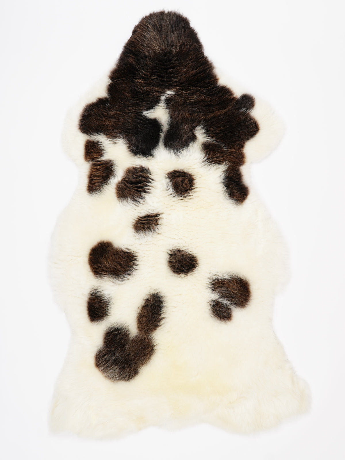 NC00012