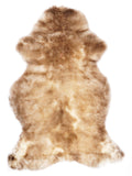 NE00056