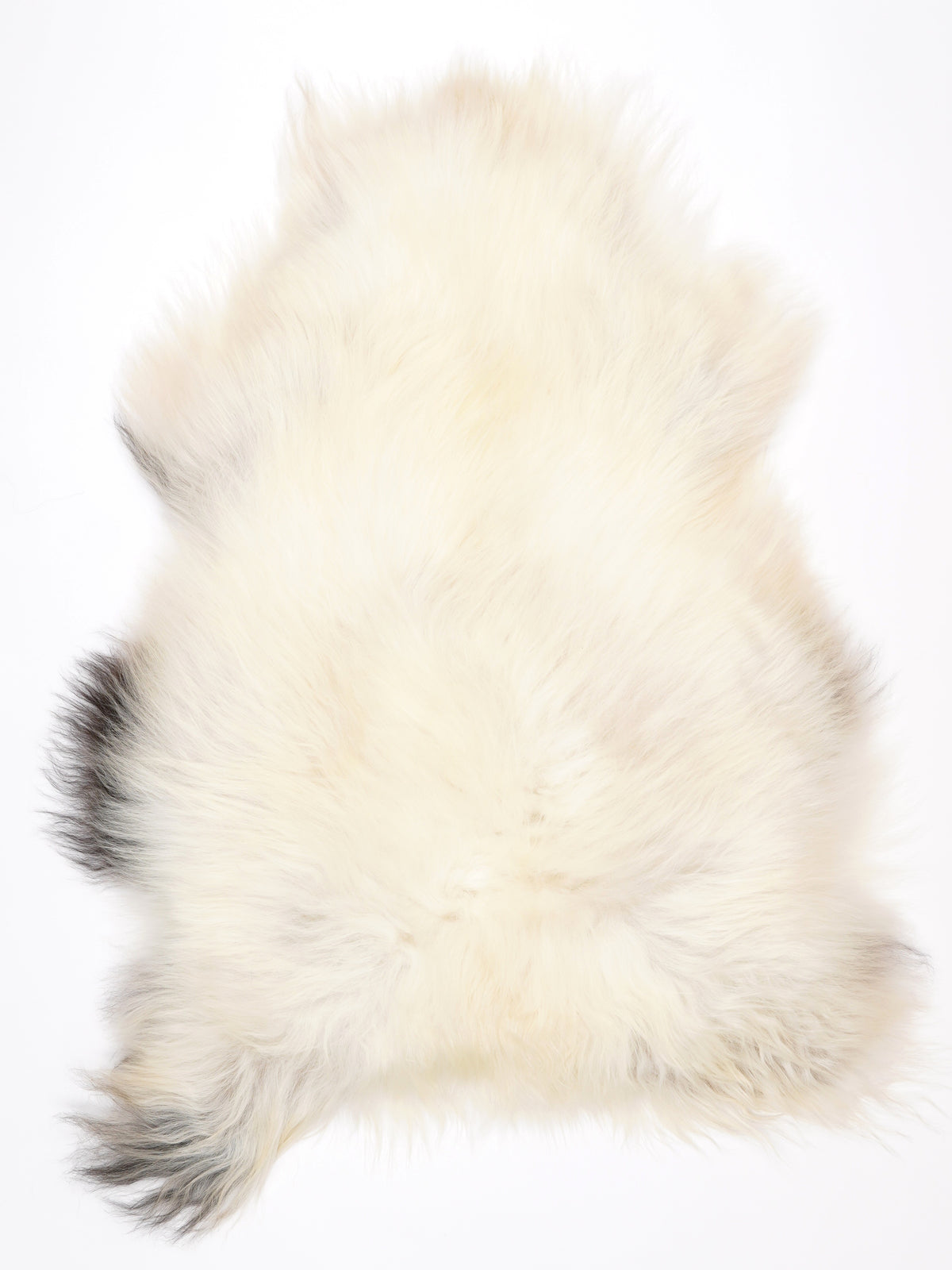 NH00085
