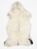 OS00017