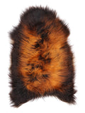 NM00091
