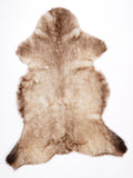 MV00025