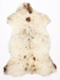 ML00096