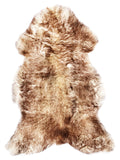 NH00041