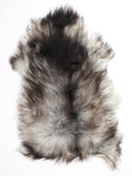 MC00012