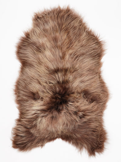 OX00065