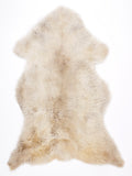 MV00018