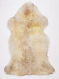 NR00081