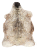 NF00089