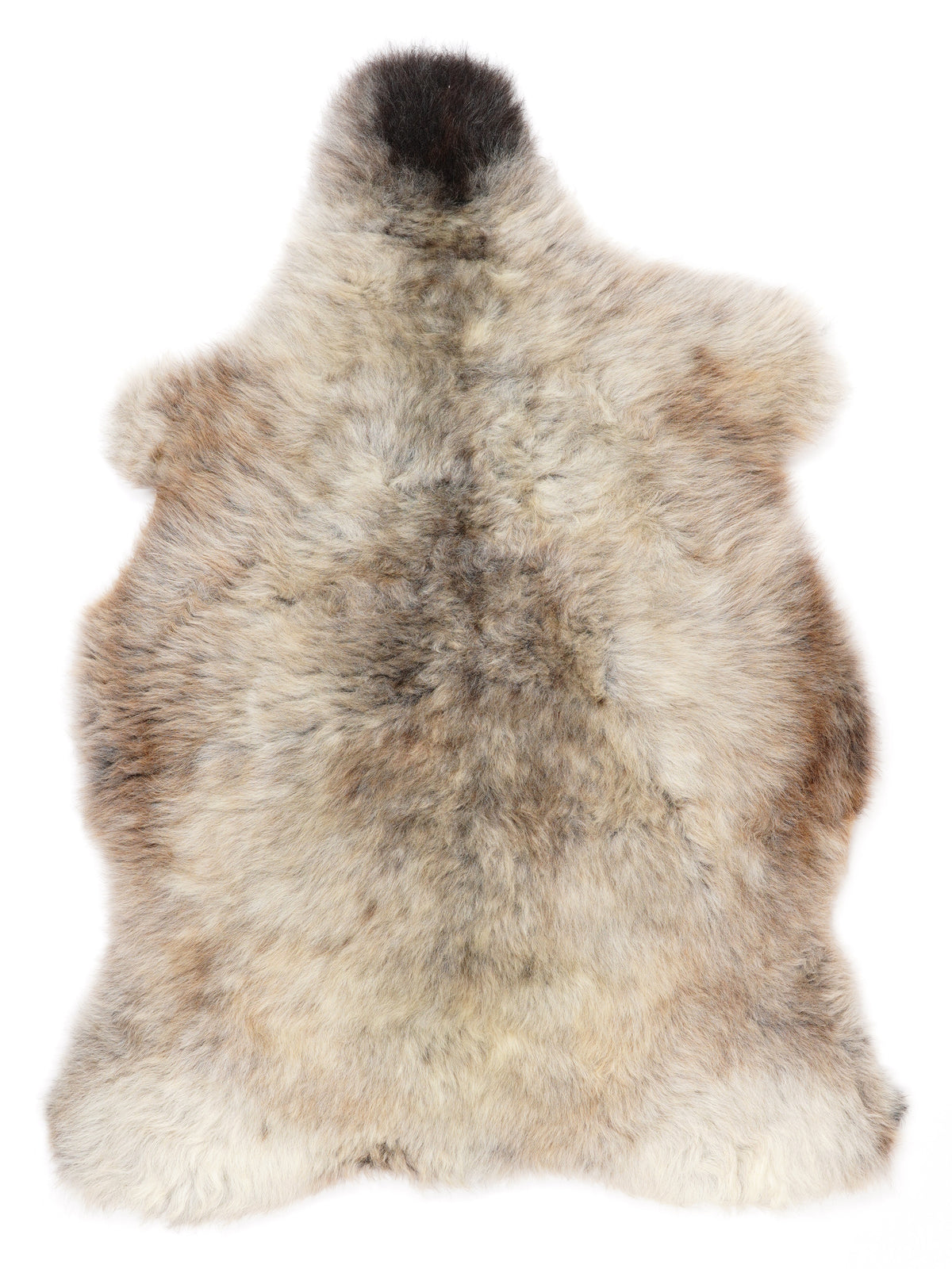 NF00089