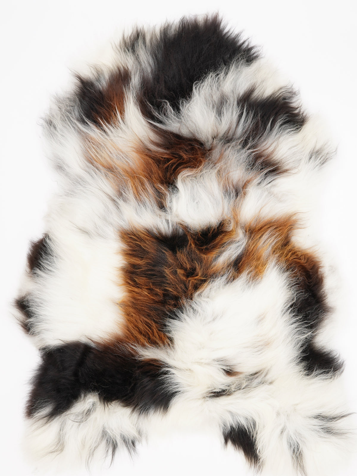 OS00019