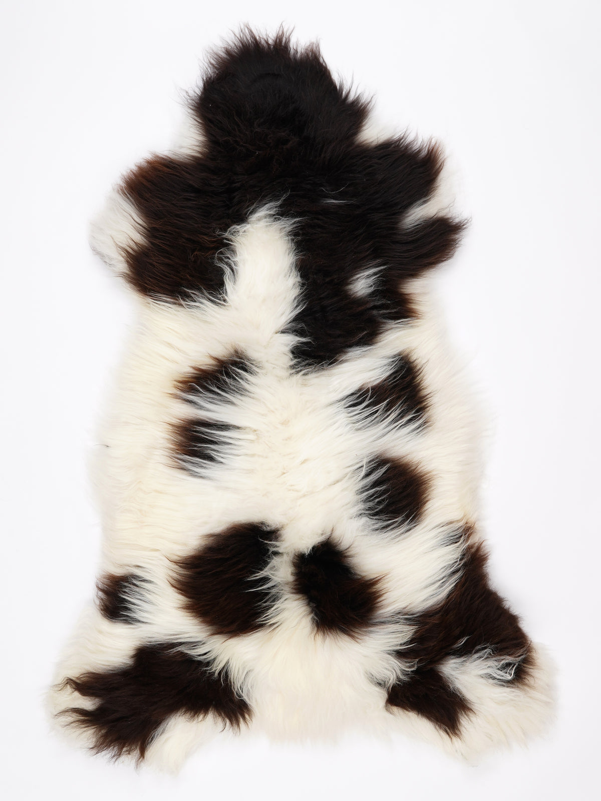 NX00021