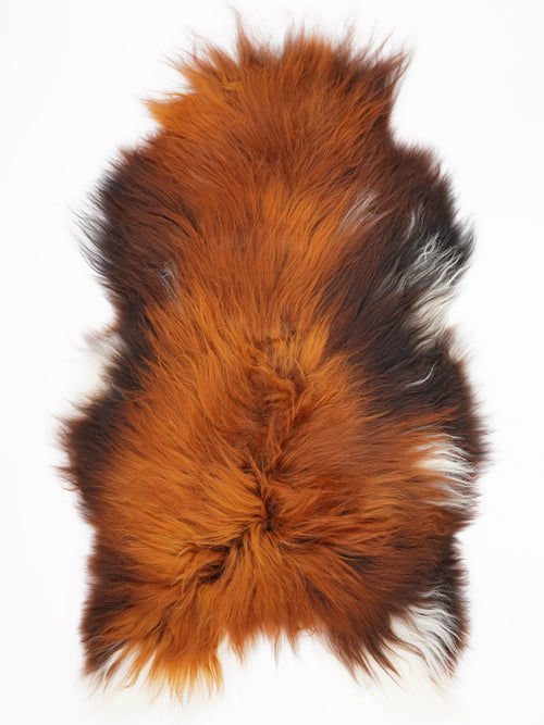 OX00044