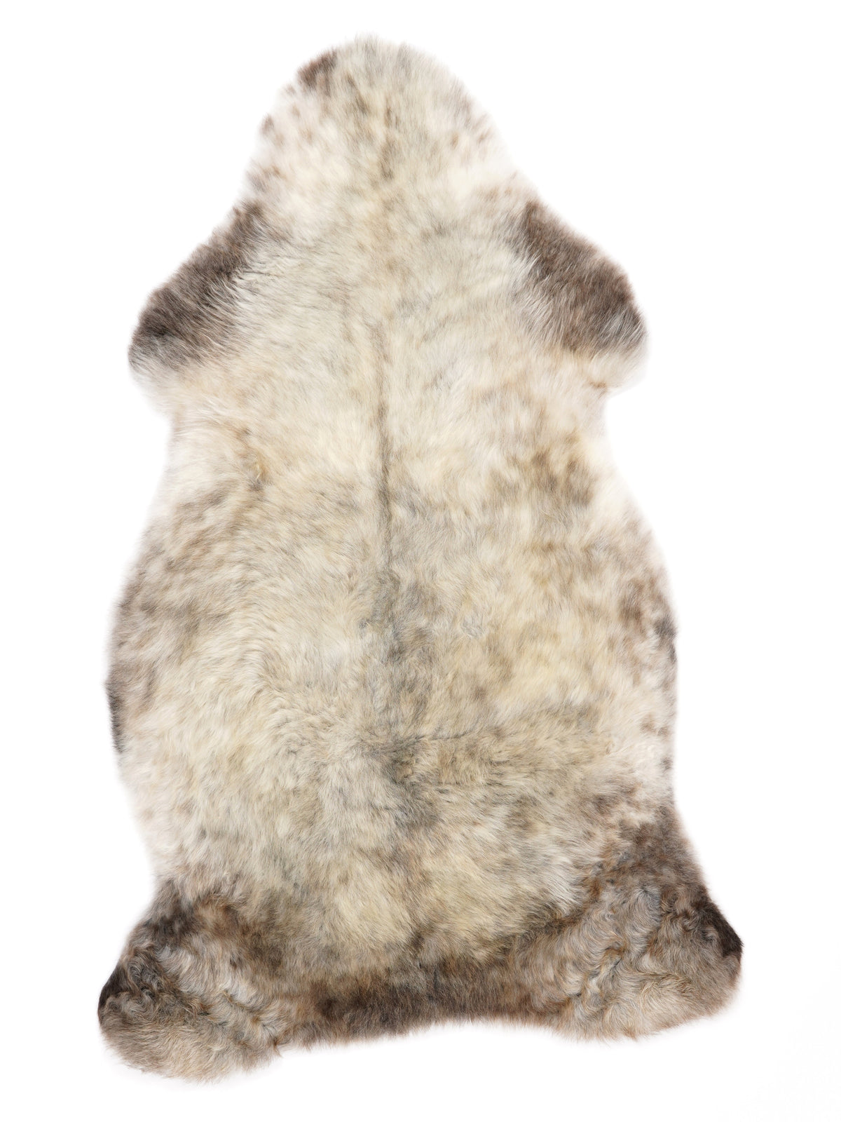NF00093