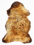 OP00035