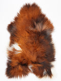 OP00090