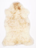 NM00005