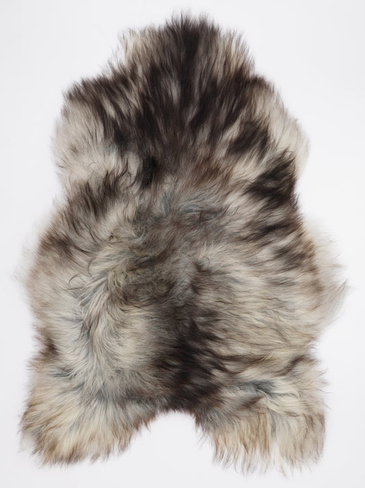 OF00017