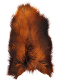 NL00040