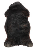 NC00058