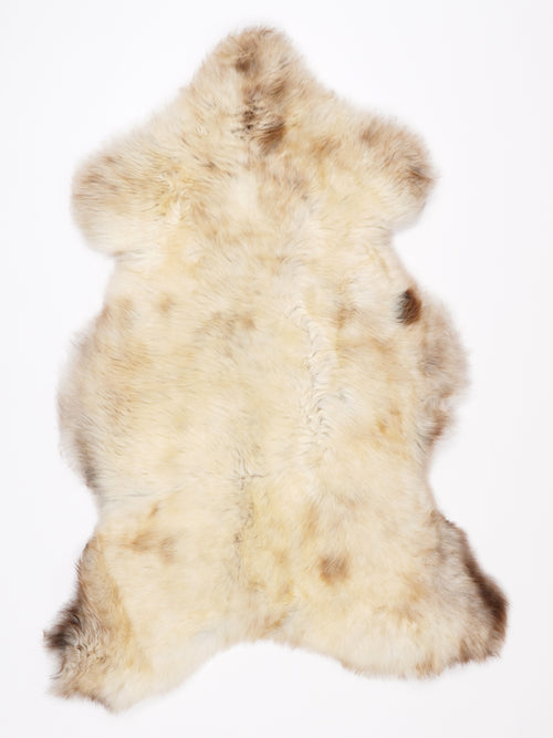 NR00083