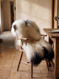 Peau de mouton islandaise « Golsótt »