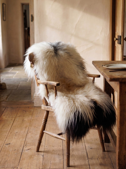 Peau de mouton islandaise « Golsótt »