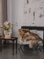 Peau de mouton mouflon