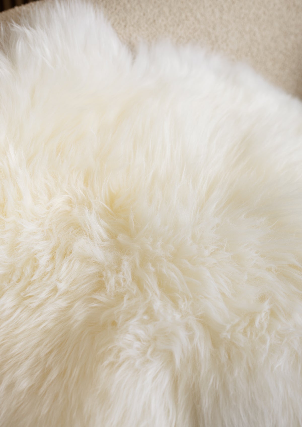 Peau de mouton cousue blanche XXXXL